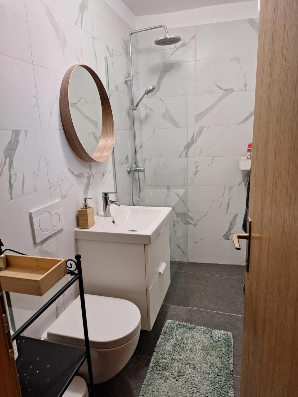 Avrora House Free Parking In Old Town Apartment Любляна Екстериор снимка